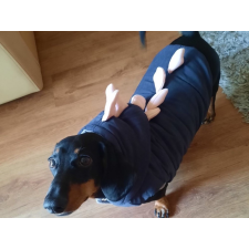  Kutyaruha - kutyakabát - kutyamellény - Dínós, bélelt, kapucnis, - többféle színben - 2XL - rózsaszín kutyaruha