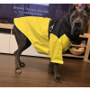  Kutyaruha - Kutyakabát - kutyamellény - Kutyaesőkabát - Extra minőség, két részes kabát és külön mellény,S - 6XL - M - neonzöld/sárga