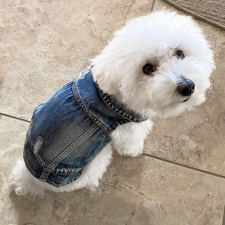  Kutyaruha - Kutyakabát - Kutyamellény - Ujjatlan, tépett farmer Kutyamellény 3színben - 2XL - fekete kutyaruha