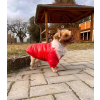  Kutyaruha - Kutyakabát - Szőrmés, bélelt - többféle színben - S - piros