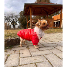  Kutyaruha - Kutyakabát - Szőrmés, bélelt - többféle színben - S - piros kutyaruha