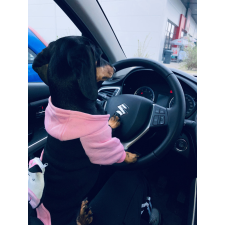  Kutyaruha - Kutyapulóver - Kutyapulcsi - Hátizsákos, kapucnis, meleg kutyapulóver - boci mintával - M kutyaruha