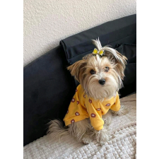  Kutyaruha - Kutyapulóver - Kutyapulcsi - Maci mintával - XS kutyaruha