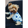  Kutyaruha - Nyári, kék/fehér pöttyös kutyatrikó, csipkés anyaggal - XS