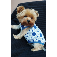  Kutyaruha - Nyári, kék/fehér pöttyös kutyatrikó, csipkés anyaggal - XS kutyaruha