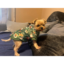  Kutyaruha - Puha Karácsonyi Pulóver - XL - zöld kutyaruha