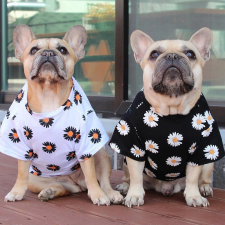  Kutyaruha - Rövidujjú, virágmintás kutyapóló - kétféle színben - XL - fekete kutyaruha