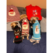  Kutyaruha - S-5XL Tèli meleg pulcsik - M - piros/fehér kutyaruha