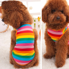  Kutyaruha - Szivárvány csíkos, nyári kutyatrikó - M kutyaruha