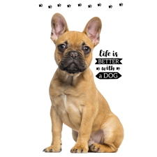  Kutyás Friend kéztörlő arctörlő, törölköző 30x50cm lakástextília