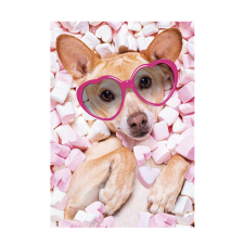  Kutyás Marshmallow A/4 gumis mappa mappa