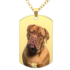  Kutyás medál (8) lánccal, választható több formában és színben nyaklánc