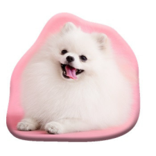 Kutyás Pomeranian formapárna, díszpárna 39x37 cm Velúr lakástextília