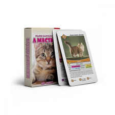  Kvartett: A macskák kártyajáték egyéb bébijáték