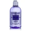 L'Occitane Lavender Shower Gel 250 ml