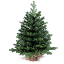LAALU karácsonyfa cserépben - Bernard fenyő, 75 cm (LAU-0217) műfenyő