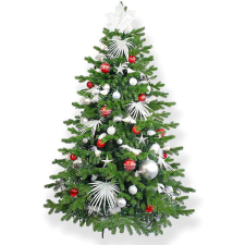 LAALU karácsonyfa díszítve - ÉSZAKI SARK VÖRÖS II, 213 dísz, 450 cm műfenyő