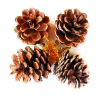 LAALU karácsonyi dekoráció - természetes fenyőtobozok, 5 cm, 4 darab