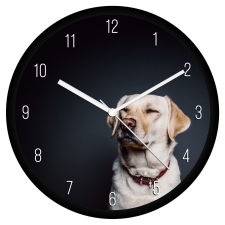  Labrador falióra falióra