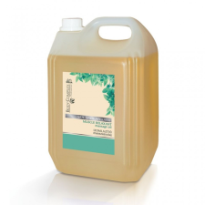Lady Stella Spa Spirit wellness izomlazító masszázsolaj, 5 l masszázskrémek, masszázsolajok