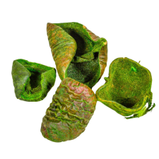  Lali szárított zöld 22dkg/csom dekorációs kellék