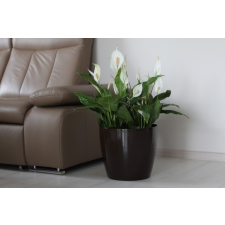 Lamela Cserépburkolat Magnolia 36 Cm kerti tárolás