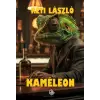 Larkin Consulting Kft. Kaméleon
