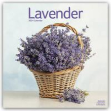 Lavender Calendar 2024 Square Flowers Wall Calendar - 16 Month naptár, kalendárium