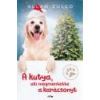 Lazi A kutya, aki megmentette a karácsonyt - Allan Zullo