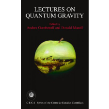  Lectures on Quantum Gravity – Andres Gomberoff,Donald Marolf idegen nyelvű könyv