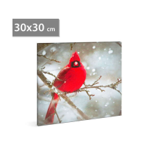 LED-es fali kép - vörös pinty - 30 x 30 cm grafika, keretezett kép