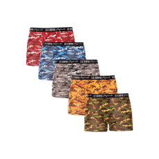 Lee Cooper 5PACK többszínű Lee Cooper férfi boxeralsó (LCU3200700D-1763075) L