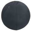Leitz Active ülőlabda nehezékkel 55cm, sötétszürke