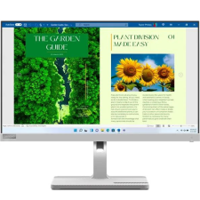 Lenovo L24m-40 monitor