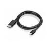 Lenovo Mini DisplayPort - DisplayPort