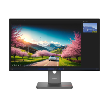 Lenovo ThinkVision P32UD-40 (64A8GAT2EU) monitor
