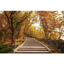  Lépcső a mennyországba tapéta, 300 x 200 cm tapéta, díszléc és más dekoráció