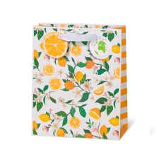 Leykam Alpina (BSB) BSB ajándéktasak (23x19x9 cm) Lemon (4) ajándéktasak