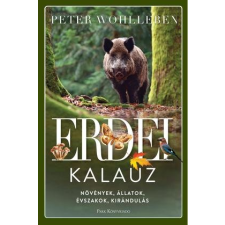 Libri Kiadó Peter Wohlleben - Erdei kalauz (új példány) társadalom- és humántudomány