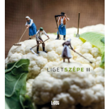 Liget Műhely Alapítvány Ligetszépe 2 antikvárium - használt könyv