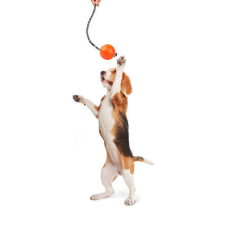 Liker Cord 7 Line - játék (labda kötéllel,narancssárga) kutyák részére (ø7cm) játék kutyáknak