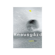  Linda Boström Knausgard - Napfénykór irodalom