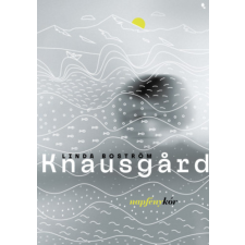 Linda Boström Knausgård - Napfénykór regény