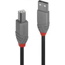 LINDY USB Összekötő Fekete 50cm 36671 kábel és adapter