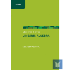 Lineáris algebra példákkal (2. kiadás) tankönyv