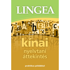 Lingea kínai nyelvtani áttekintés - Praktikus példákkal idegen nyelvű könyv