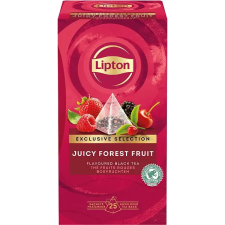 LIPTON Pyramid Forest Fruit 25× 1,68 g tea