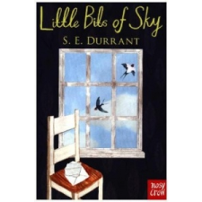Little Bits of Sky – Sue Durrant idegen nyelvű könyv