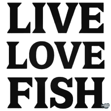  Live Love Fish matrica matrica
