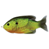  LIVETARGET SUNFISH WALKING BAIT FLORESCENT PUMPKINSEED 75 MM 12 G